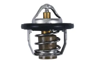 Thermostat ALL BALLS