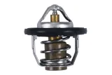 Thermostat ALL BALLS