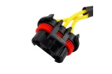 Stator KIMPEX