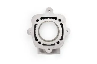 Kit cylindre MALOSSI H2O Ø65mm 172,5CC