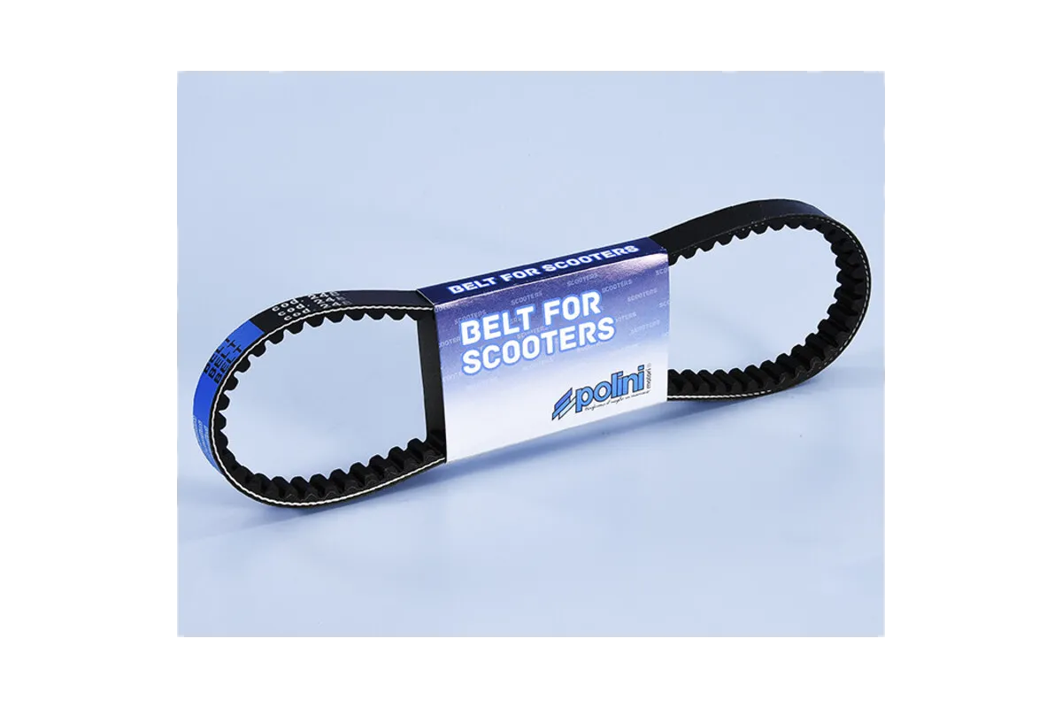 POLINI Variator Belt