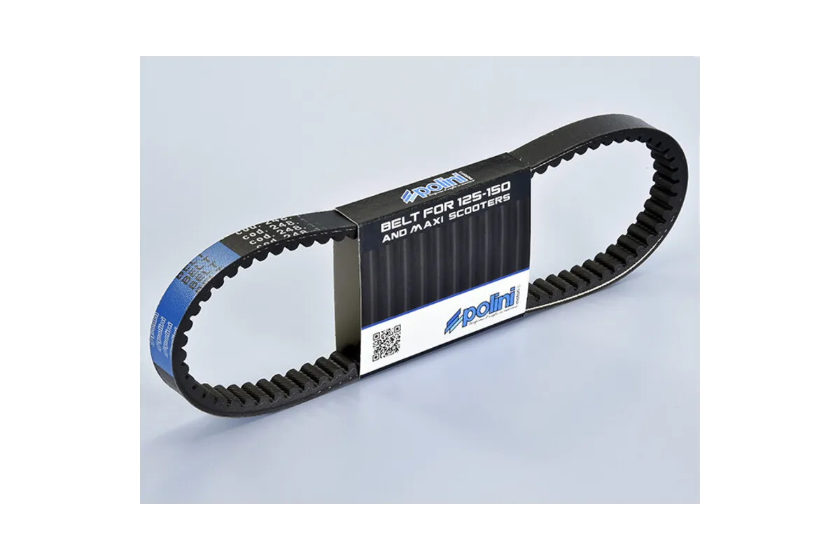 POLINI Variator Belt