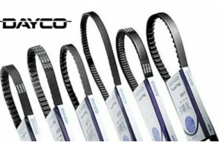 Courroie de transmission DAYCO standard