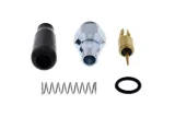 Kit plongeur de starter ALL BALLS