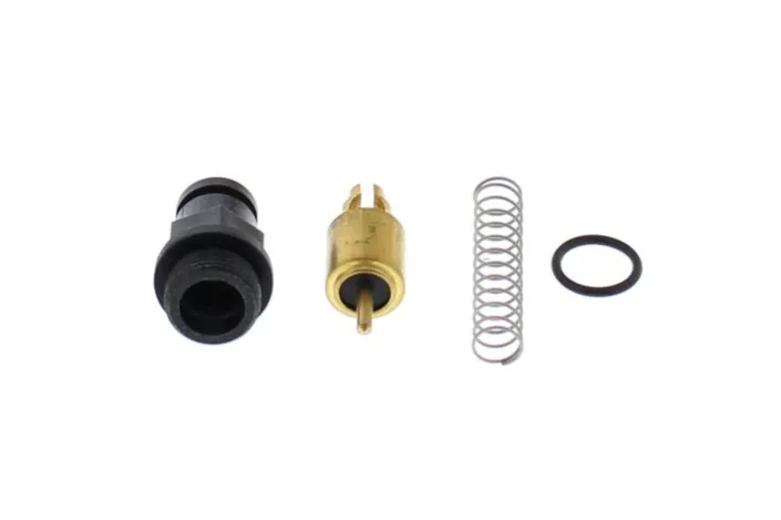 Kit plongeur de starter ALL BALLS
