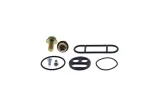 Kit réparation robinet de carburant ALL BALLS