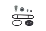 Kit réparation robinet de carburant ALL BALLS