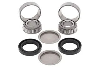 Kit roulements de bras oscillant ALL BALLS