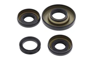 Kit joints de différentiel avant ALL BALLS