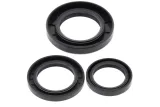 Kit joints de différentiel arrière ALL BALLS