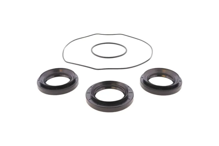 Kit joints de différentiel arrière ALL BALLS