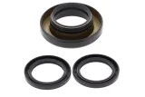 Kit joints de différentiel arrière ALL BALLS