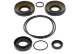 Kit joints de différentiel arrière ALL BALLS