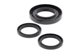 Kit joints de différentiel arrière ALL BALLS