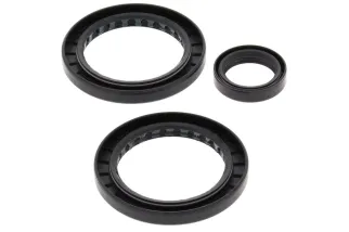 Kit joints de différentiel arrière ALL BALLS