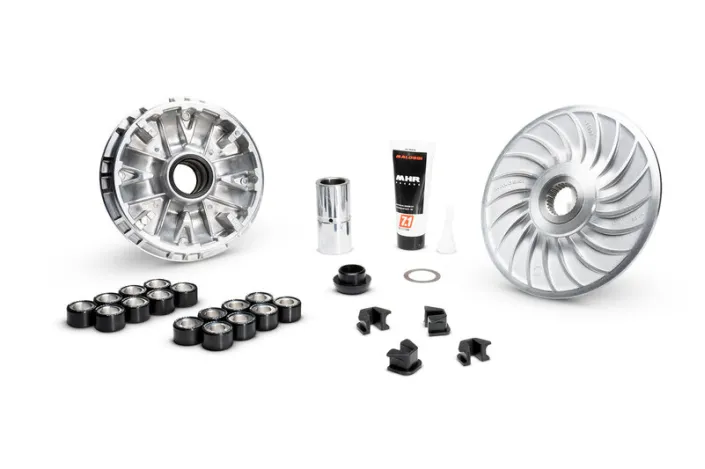 Variateur MALOSSI Multivar