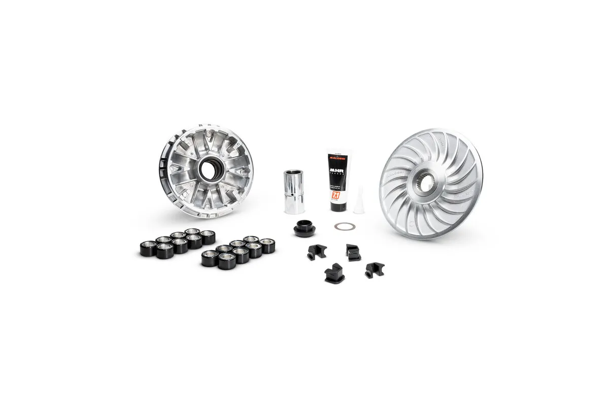 Variateur MALOSSI Multivar