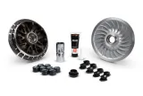 Variateur MALOSSI Multivar