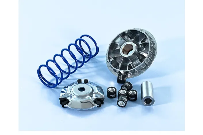 Variateur POLINI