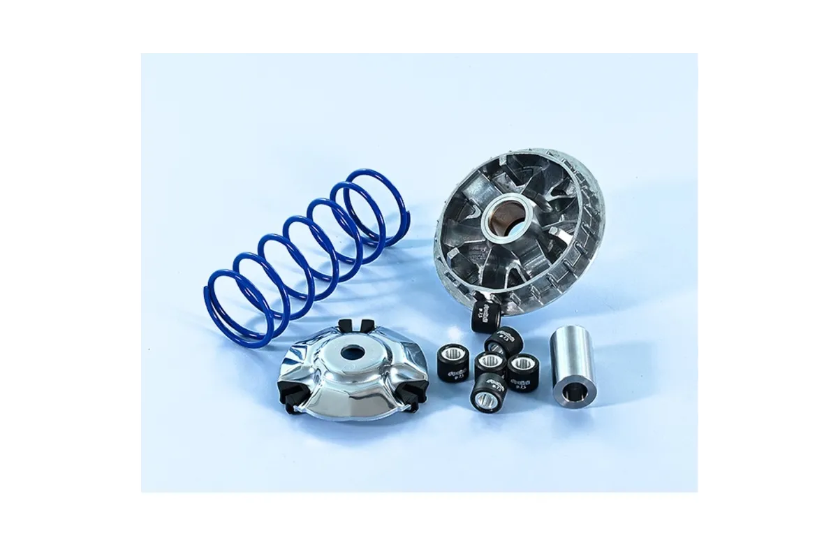 Variateur POLINI