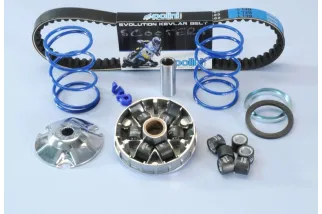 Variateur POLINI Hi-Speed