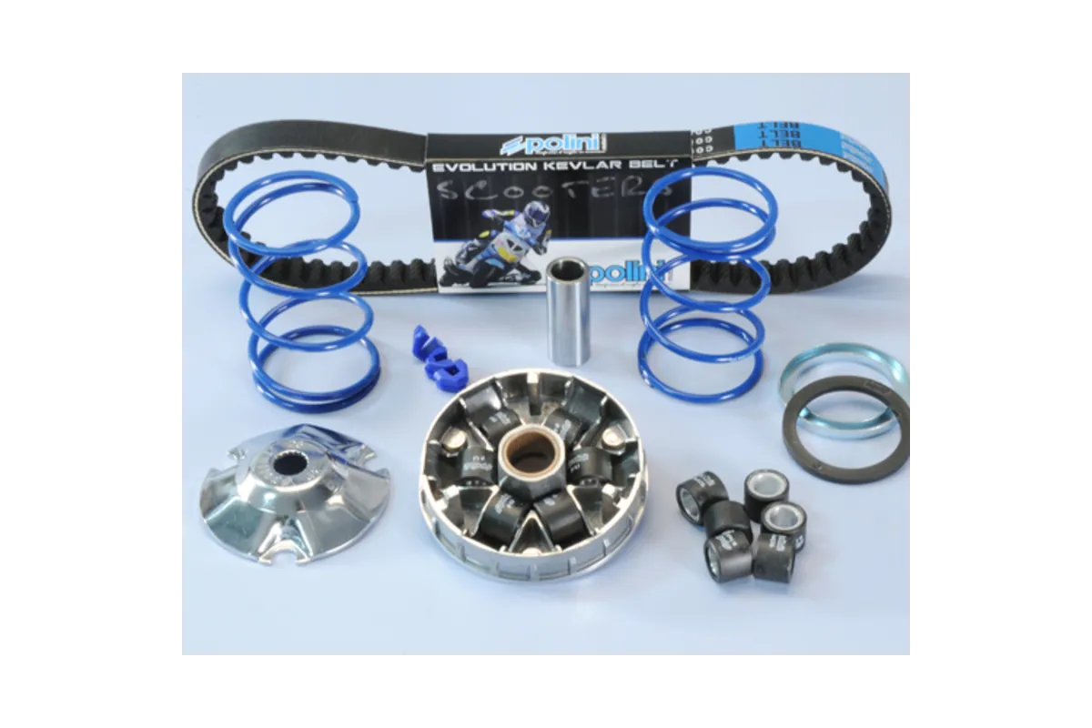 Variateur POLINI Hi-Speed