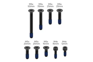 Kit de vis anti-vol (V2) QUAD LOCK