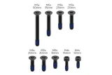 Kit de vis anti-vol (V2) QUAD LOCK