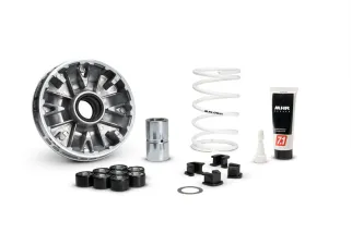 Variateur MALOSSI Multivar