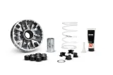 Variateur MALOSSI Multivar