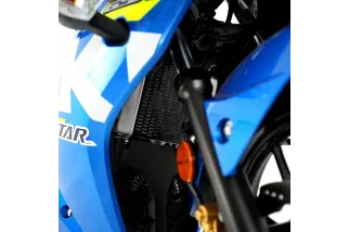 Grille de radiateur R&G Racing Pro