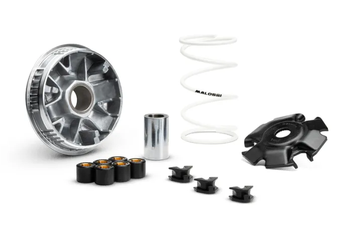 Variateur MALOSSI Multivar 2000