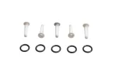 Kit filtres et joints toriques ALL BALLS pour raccord rapide pompe à essence - 5 jeux