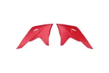 Ouïes de radiateur RACETECH