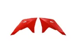 Ouïes de radiateur RACETECH