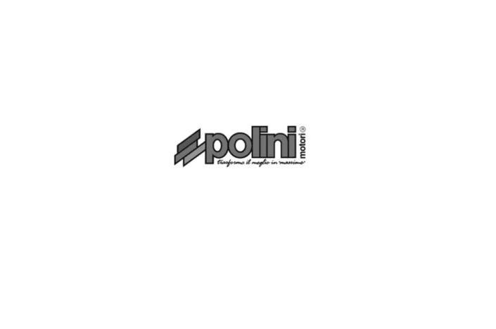 Segments de piston 46x1.5 POLINI