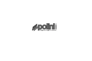 Segments de piston 46x1.5 POLINI