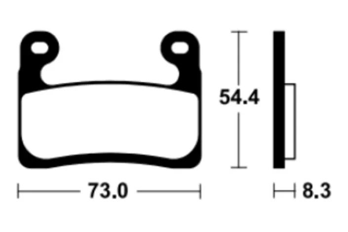 Plaquettes de frein TECNIUM Racing métal fritté - MTR460