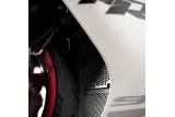 Protection de radiateur R&G RACING