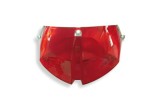 Tail Light LENS
