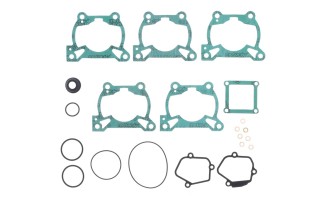 Joint haut-moteur CENTAURO