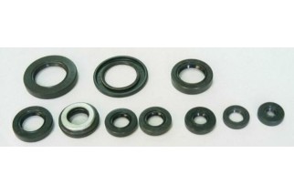 Jeu de joints spi moteur TOURMAX