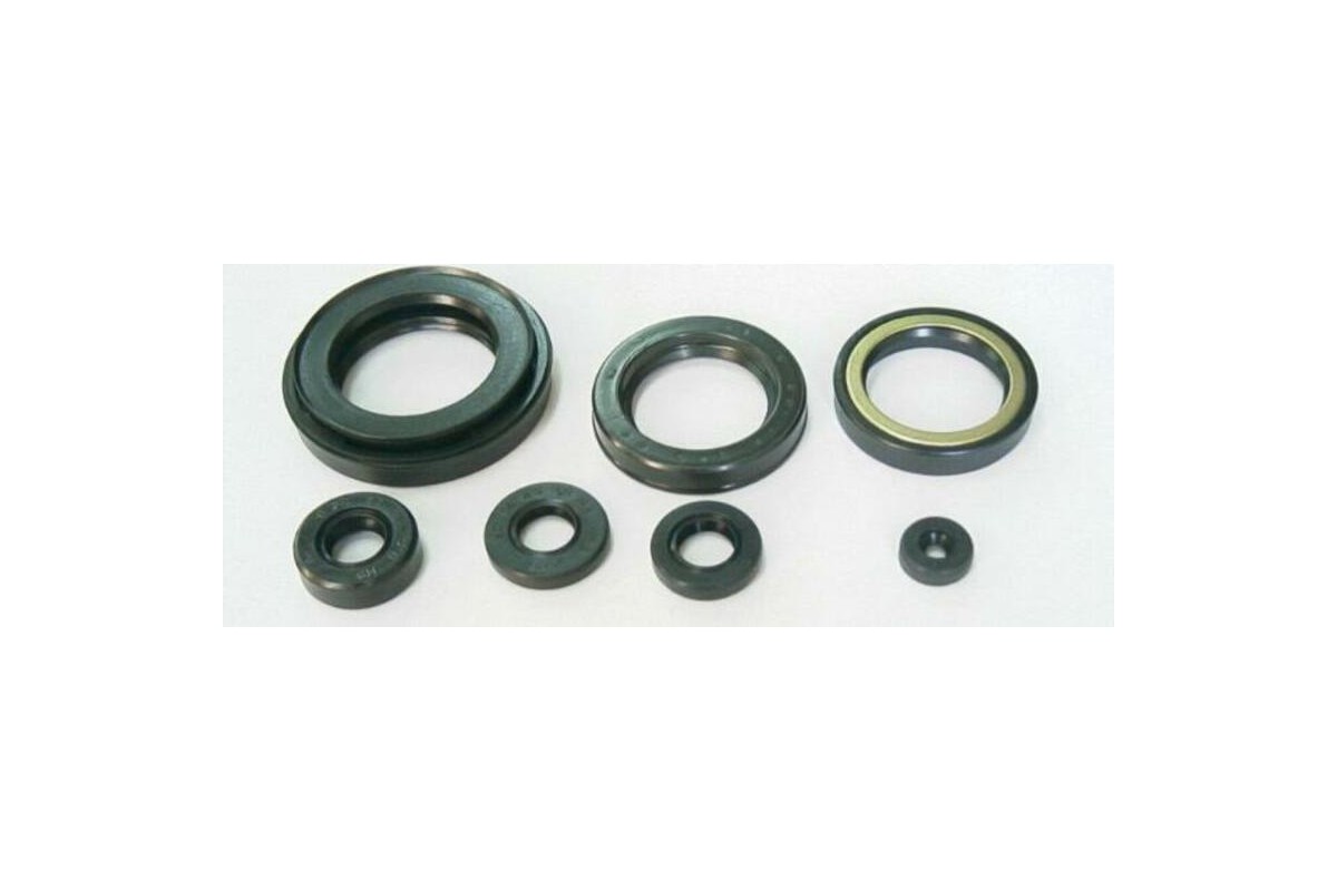 Jeu de joints spi moteur TOURMAX