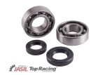 Kit roulements et joints spi de vilebrequin JASIL