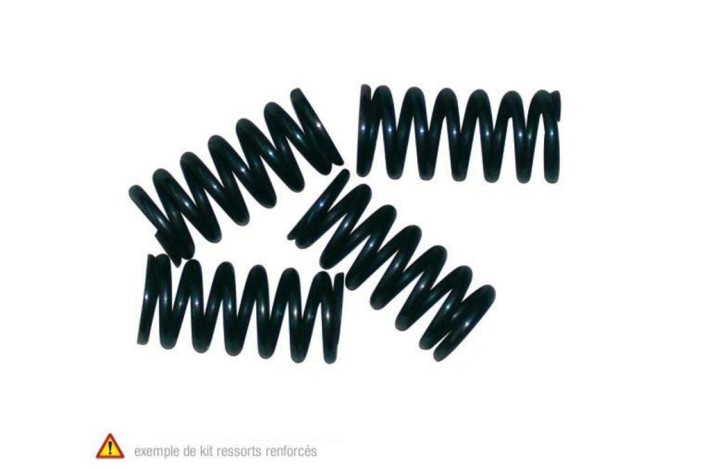 Kit ressorts d'embrayage NEWFREN Minarelli APRILIA RS, RIEJU RR,RS1, YAMAHA TZR 50 97-05