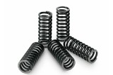 Kit ressorts d'embrayage TECNIUM boîte de 5 Yamaha YZF 250