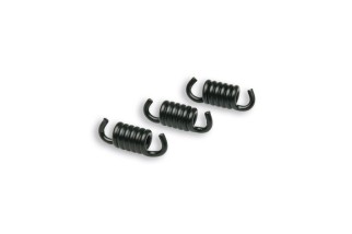 Ressorts d'embrayage noir MALOSSI Ø2,2mm - embrayages Delta/Fly