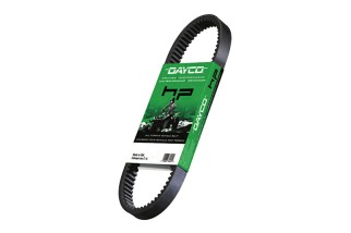 Courroie de transmission DAYCO standard