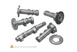 Arbre à cames échappement HOT CAMS - Niveau 2 Suzuki RM-Z450