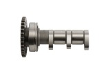 Arbre à cames HOT CAMS - Niveau 3 Yamaha YFZ450